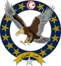 Ministère de la Défense Nationale — Armée de l’air