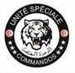 Ministère de l’Intérieur — Unité Spéciale